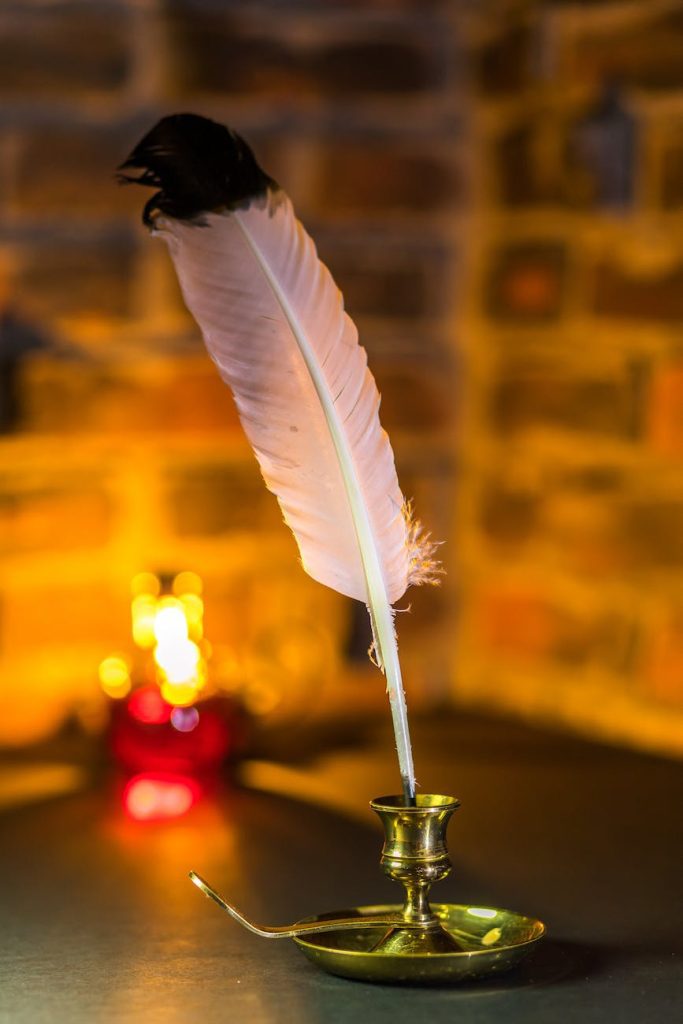 close up shot of a white quill